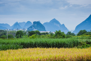 玩家辅助神器：“微乐跑得快有挂吗”其实确实有挂