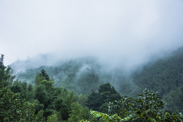 阿尔卑斯山在哪个国家